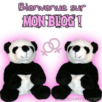 bienvenue sur mon blog vip